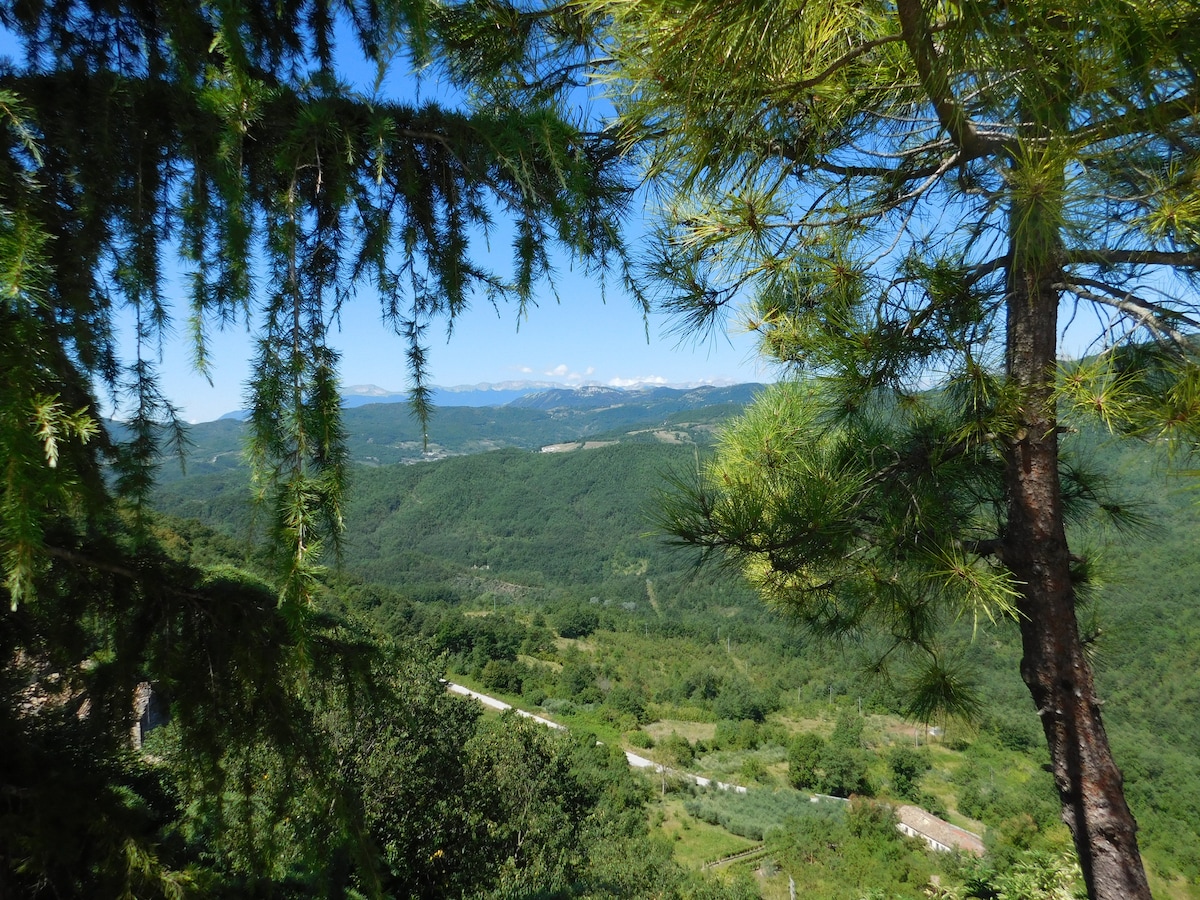 A scenic view of rolling hills is framed by lush green tree branches. The landscape includes a winding path below, surrounded by vibrant vegetation and distant mountains under a clear blue sky.