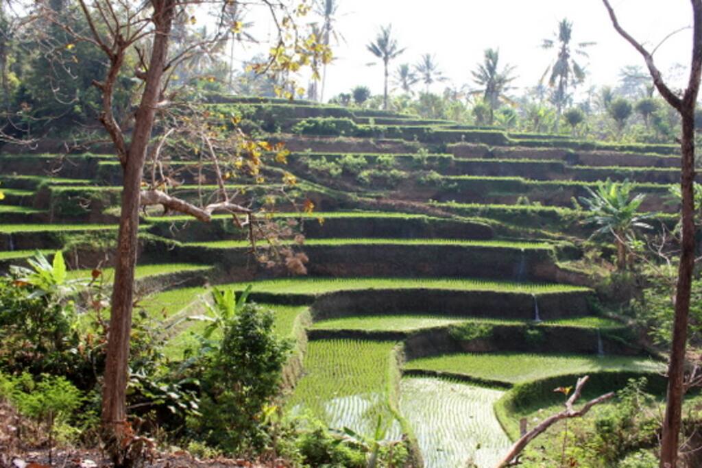 Eco Tourism