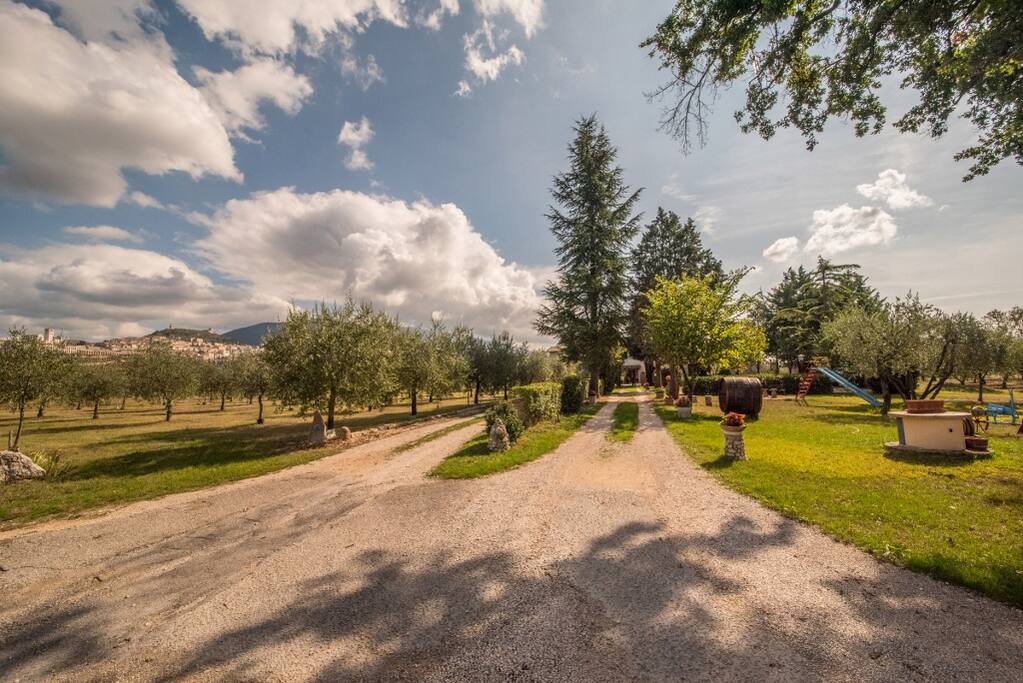 Ingresso viale e giardino