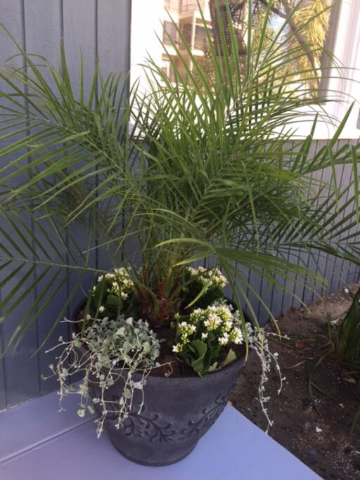 Welcome planter
