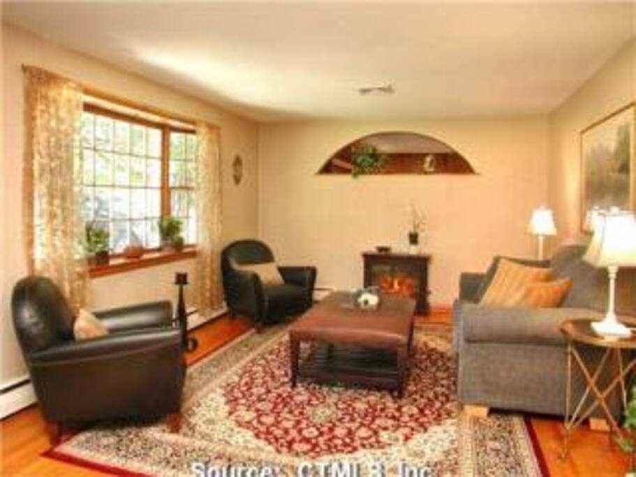 Living Room. Medium Screen TV added a few months ago.