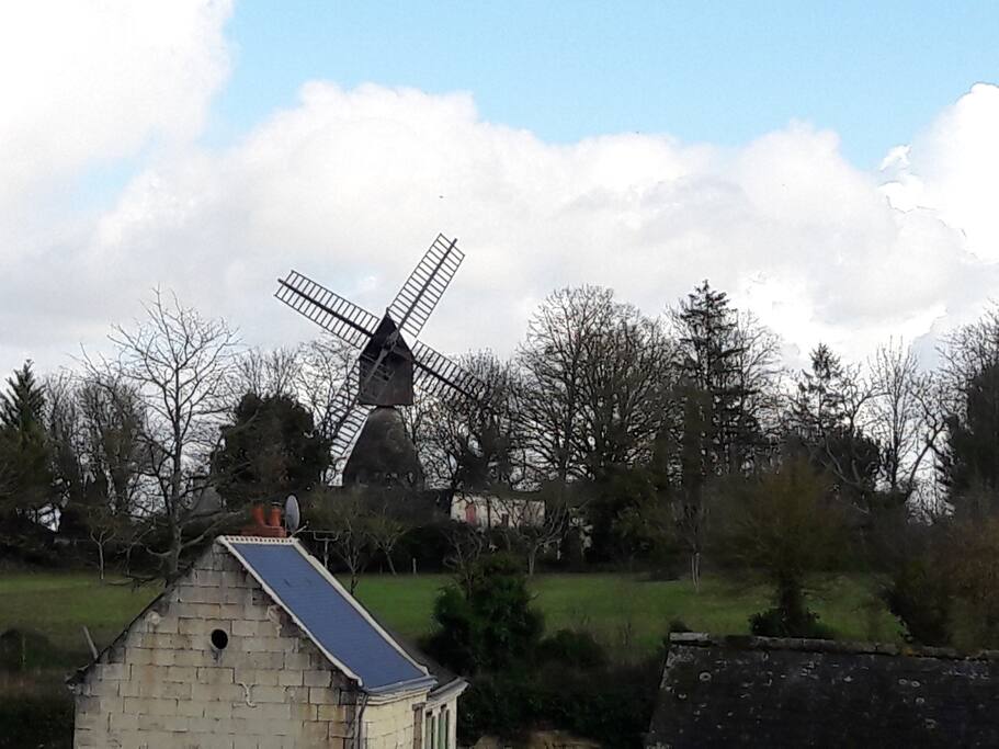 vue depuis le gîte