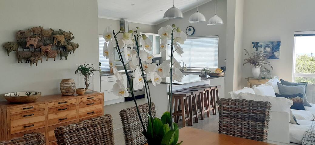 Hilton Cove Beach House gallery image 4