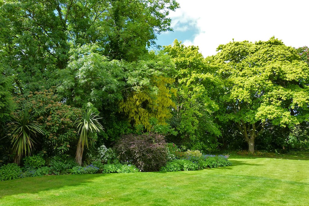 Garden