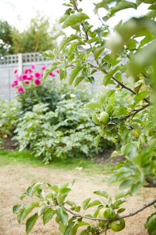 Central London 20 Mins Tranquil. Home from home. gallery image 5