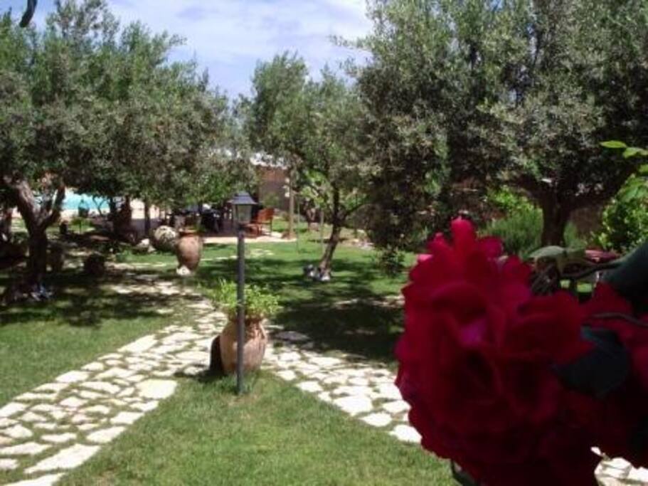 Particolare giardino