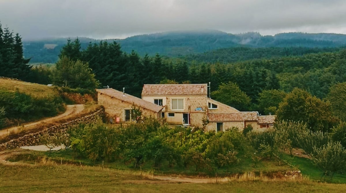 A renovated house is nestled within a natural landscape, featuring a stone exterior and a sloping roof. Surrounding trees create a serene backdrop, while a winding path leads to the entrance. The gentle hills in the distance offer a sense of tranquility.