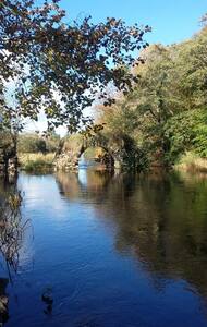 Exact location provided after booking. Ballymote, County Sligo, Ireland. Quiet grazing farmland surrounds the garden. Carmen & Roberts Country House Retreat - Houses for Rent