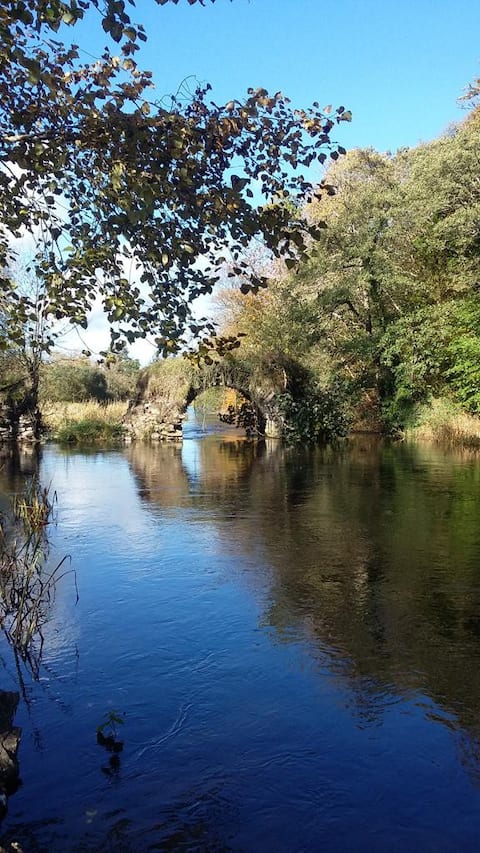 Cosy Cabin by the River