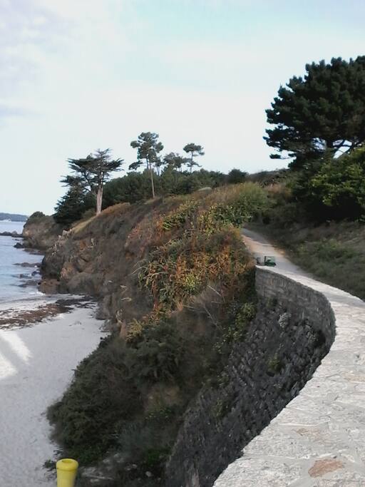 plage des sables-blancs avec ses sentiers cotiers en bas de la maison