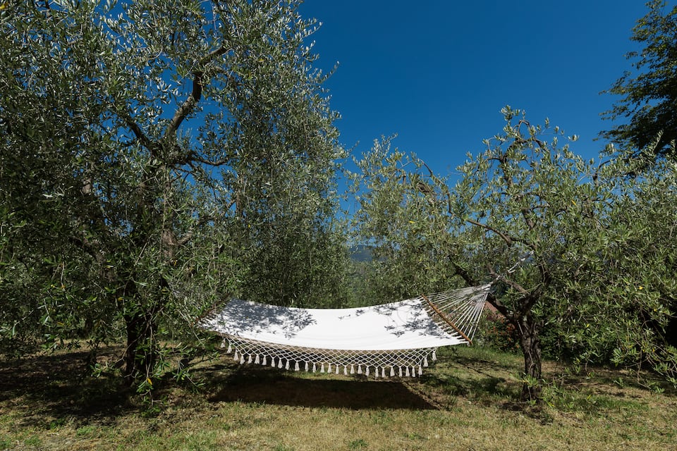 The Moonlit and Sunny Cottage, in a Tuscan olive grove, Vaiano, Tuscany, Italy, photo 2 of 10