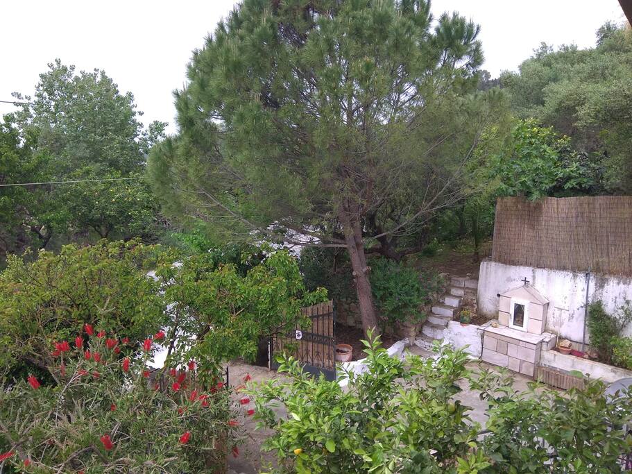 Part of the view from the apartment