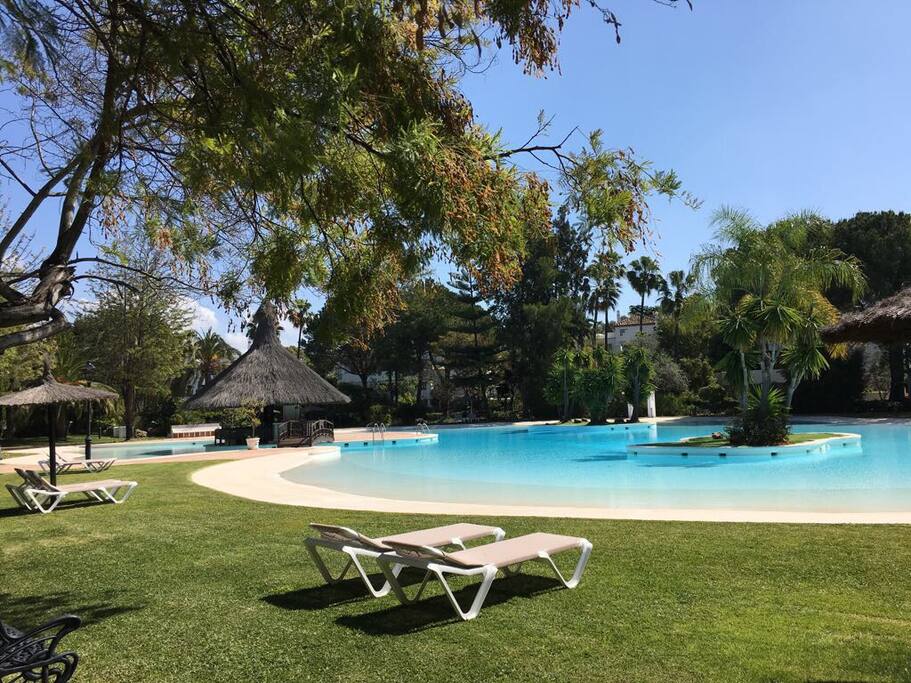 Piscina con hamacas