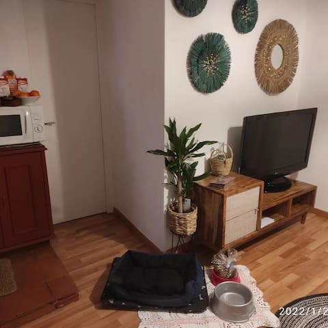 Top performing Airbnb: Beautiful apartment located in the historic center. in Cuenca