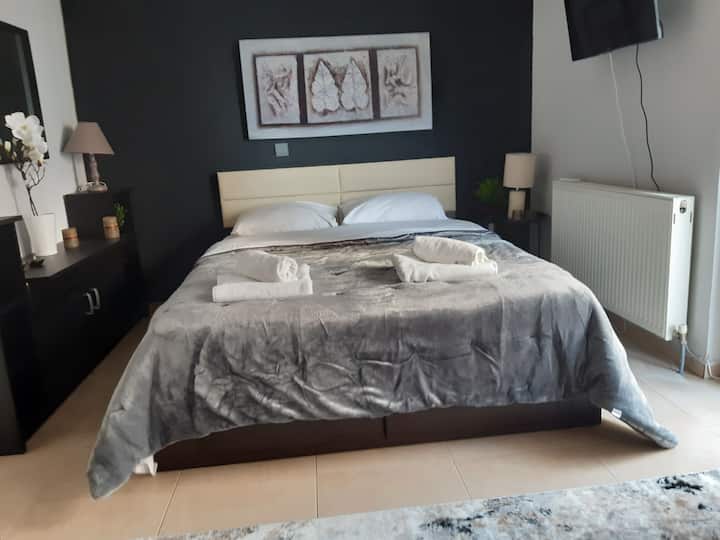 Eclectic Grey studio ,free parking Condominiums for Rent in