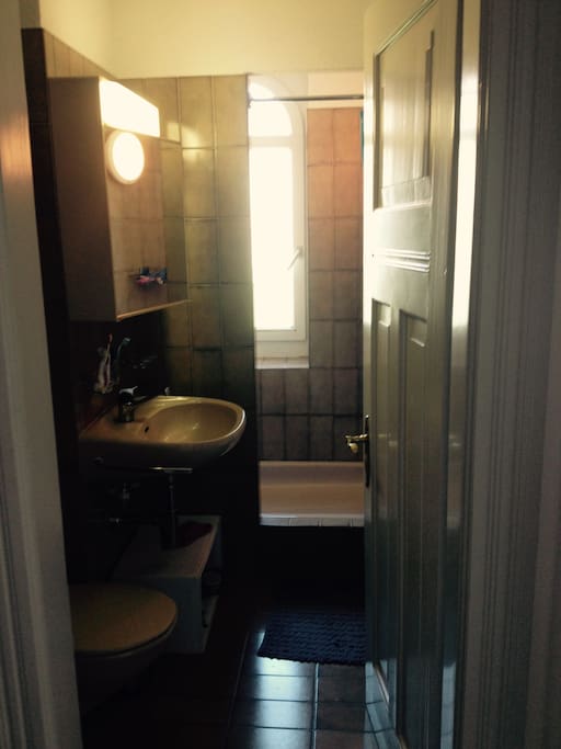 Bathroom just next to the room (toilet and shower)
