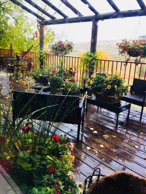 The patio with the best view in Beaver Mines!