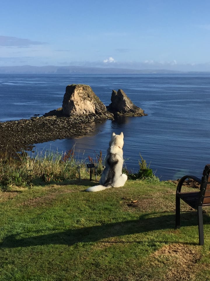 Windhaven B&B (Small Twin) Bed and breakfasts for Rent in Brough