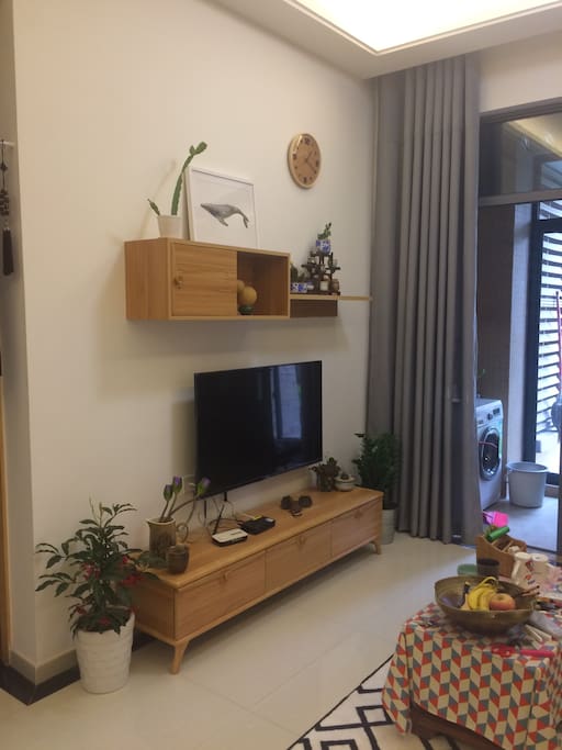 客厅电视
