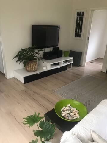 Entire home, sleeps 8, 15 min walk to beach gallery image 3