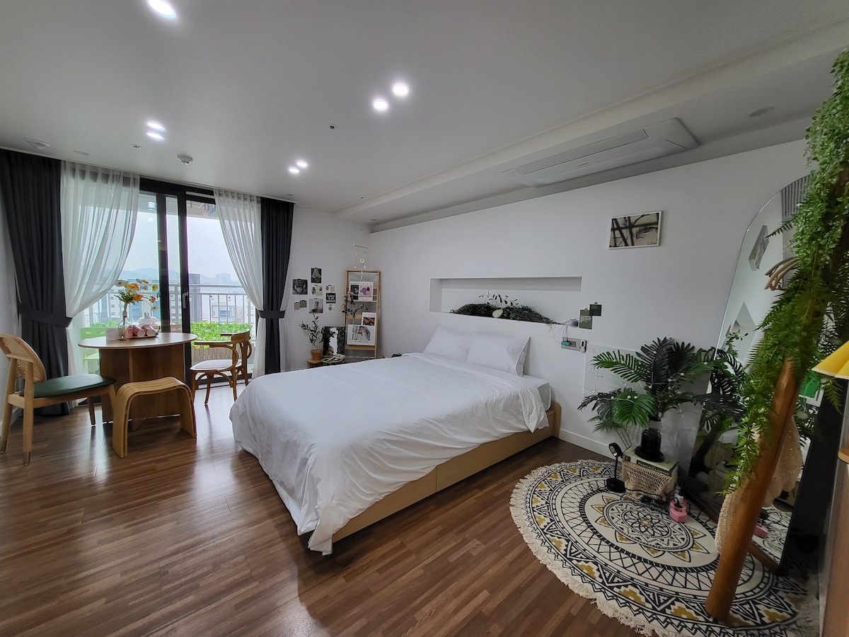 رقم 33 الصورة الأمامية 2:)