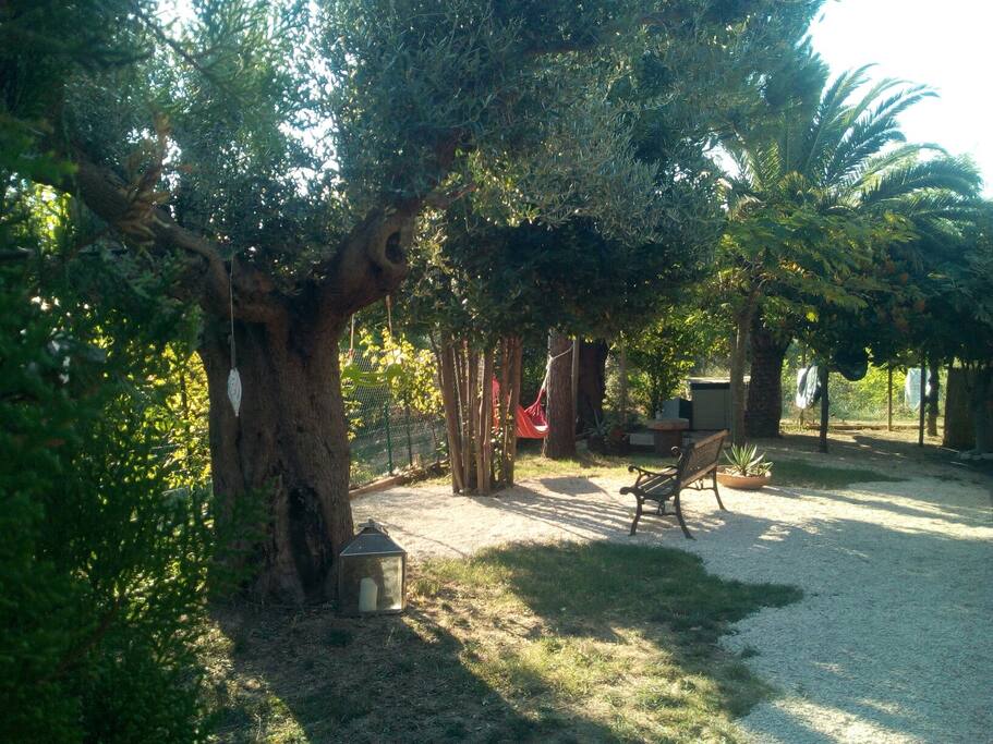 Giardino lato est