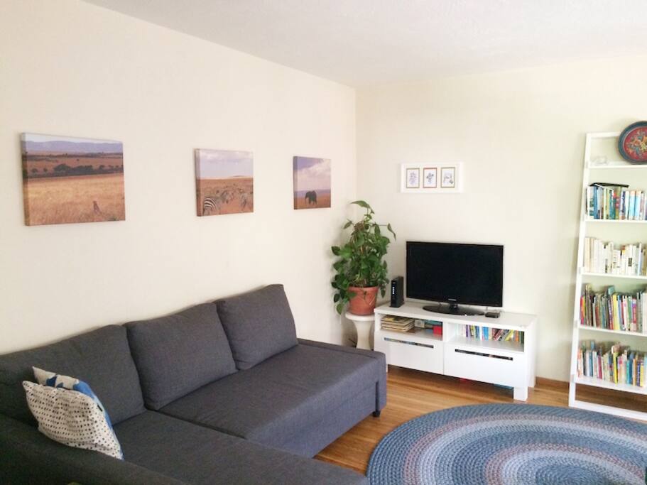 Living room with comfortable seating area, TV with apple TV/HBO Go/Amazon Fire. Also includes piano and guitar if you are musically inclined.