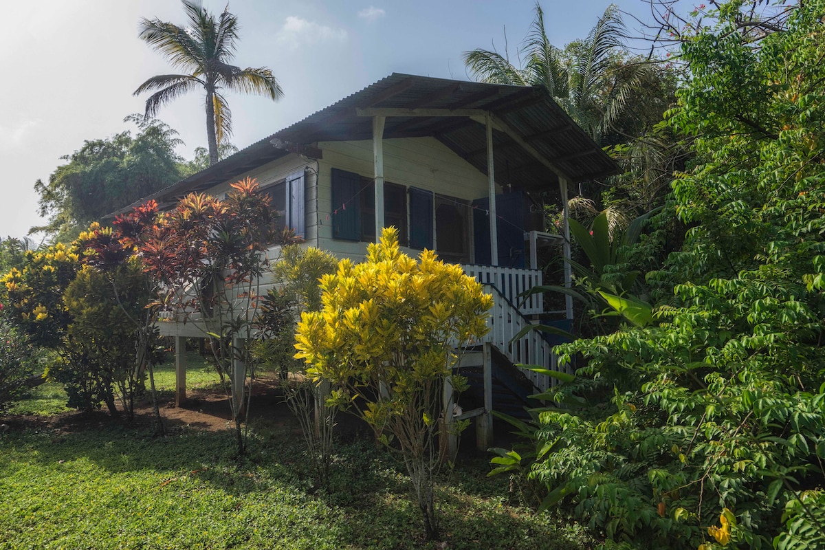 A charming cottage elevated on pilings is surrounded by lush greenery and colorful flowering plants. A set of stairs leads to a welcoming front porch adorned with screens, inviting guests to enjoy the natural beauty and tranquility of the setting.