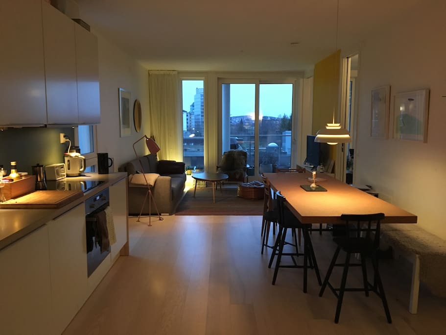 Living room and kitchen in one.