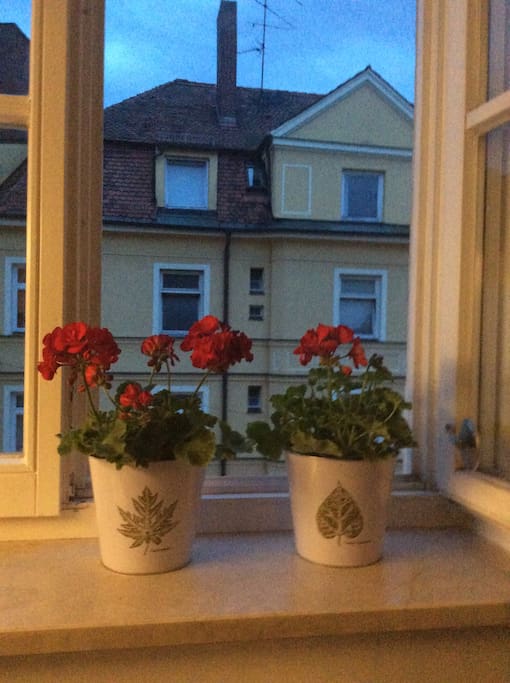 kitchen window