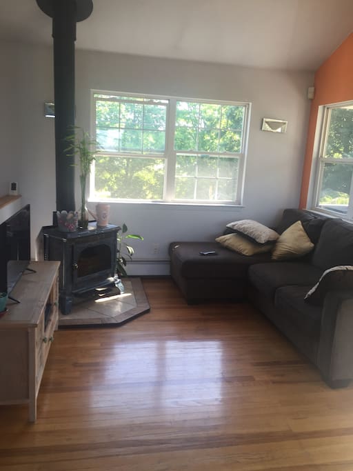 Living room with fireplace