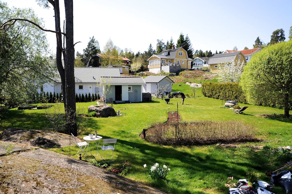 Garden from patio (during spring)