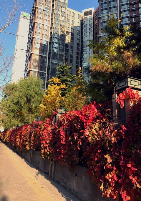 小区门口的风景和绿化都特别好