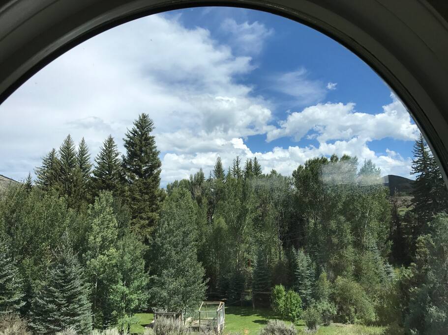 Yoga room view