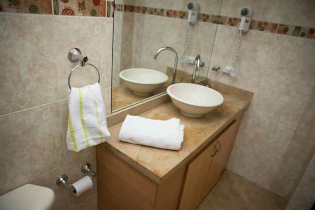 Baño amplio y limpio. Tiene secador de pelo.