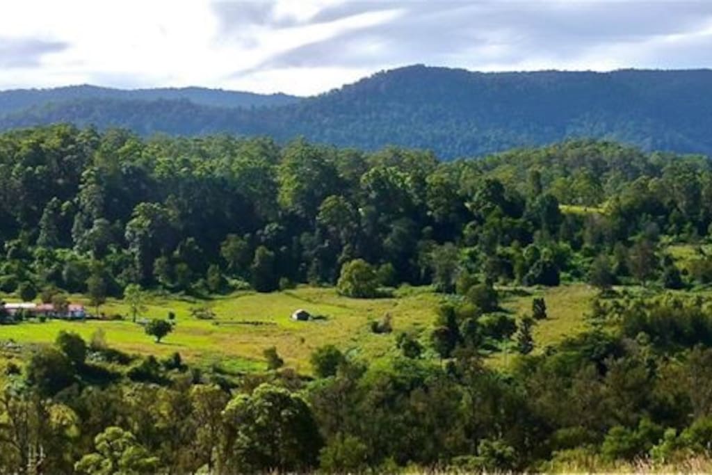 Right near Border Ranges National Park