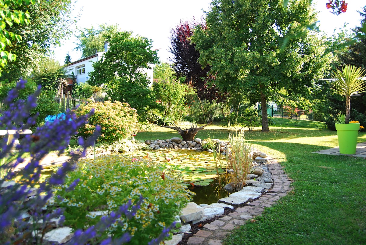 A serene garden scene features a tranquil pond surrounded by lush greenery and colorful flowers. A stone path meanders through the garden, leading to a vibrant plant in a decorative pot. Dense trees provide shade, enhancing the peaceful ambiance of the outdoor space.