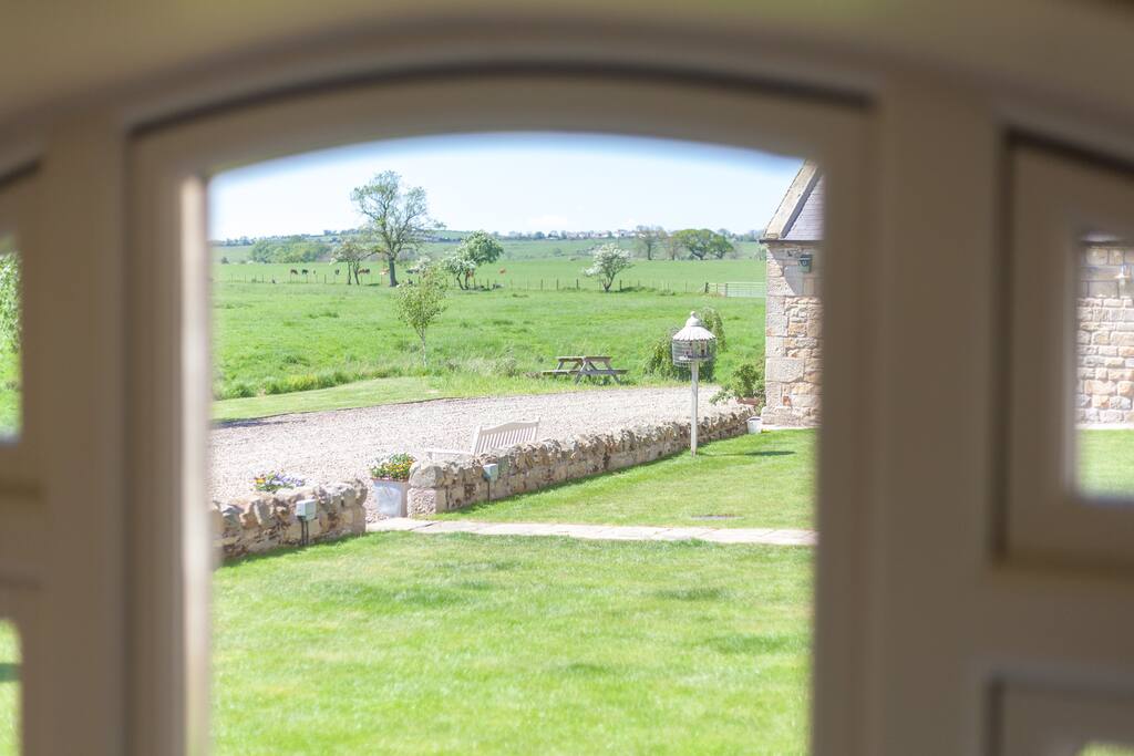 View from living area