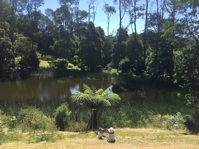 Lake Lodge gallery image 5