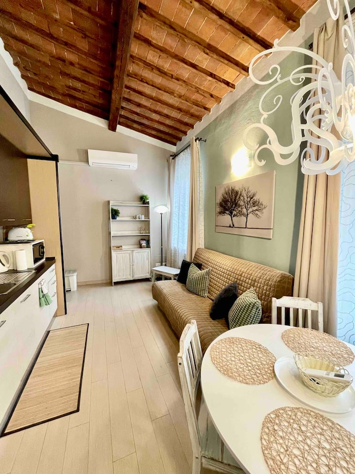 Apartment Orchid San Zanobi