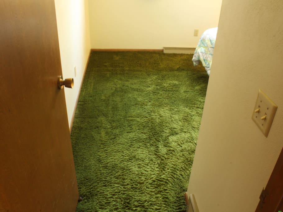 Glorious SHAG carpet