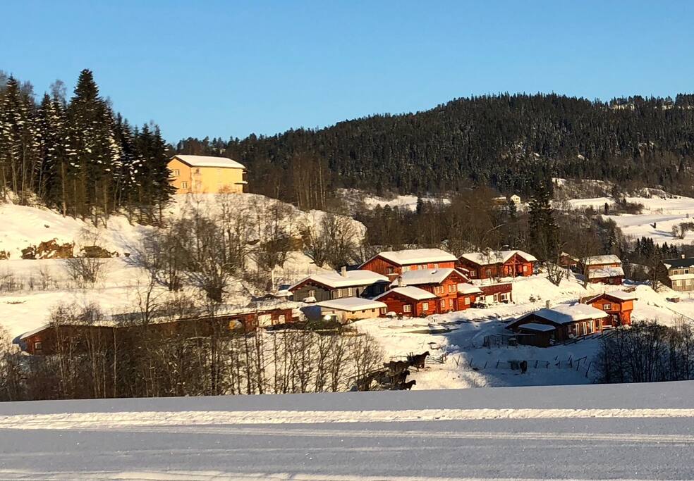 Gården om vinteren