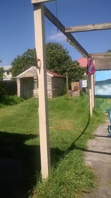 backyard