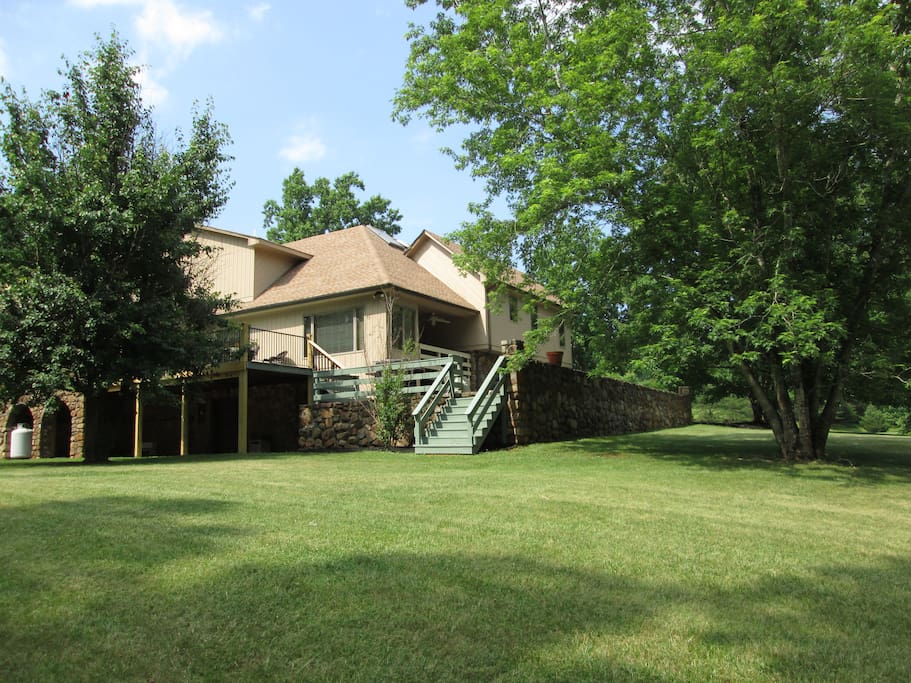 Back yard