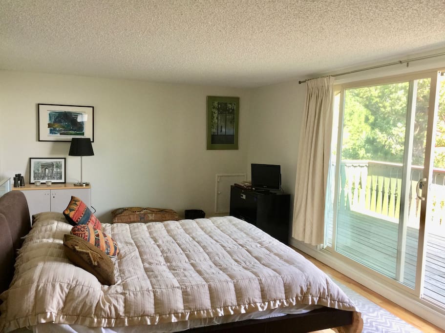 Spacious master bedroom with private bath and deck