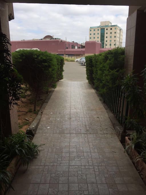 Walkway to driveway