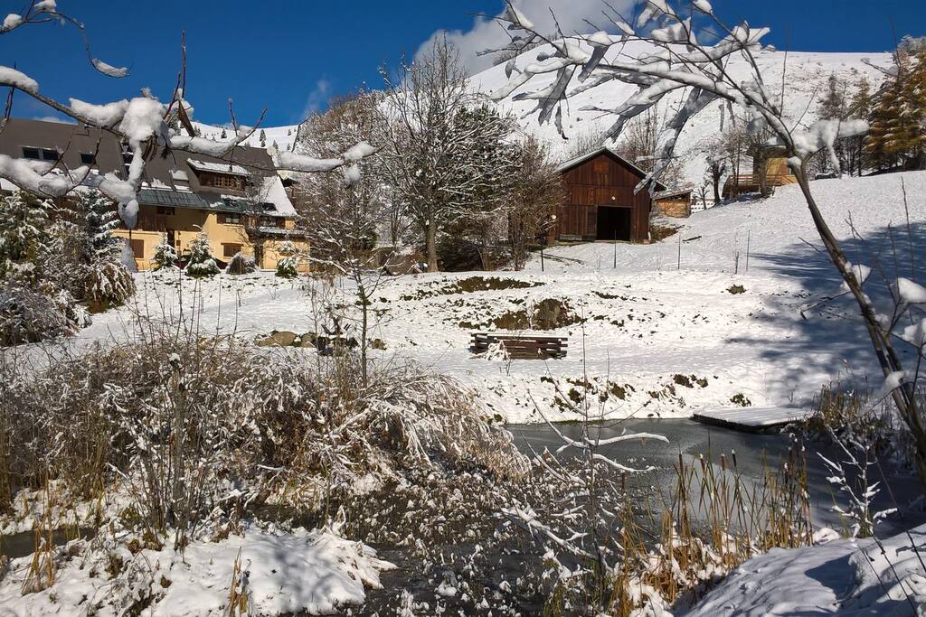 Le Chalet, la mare