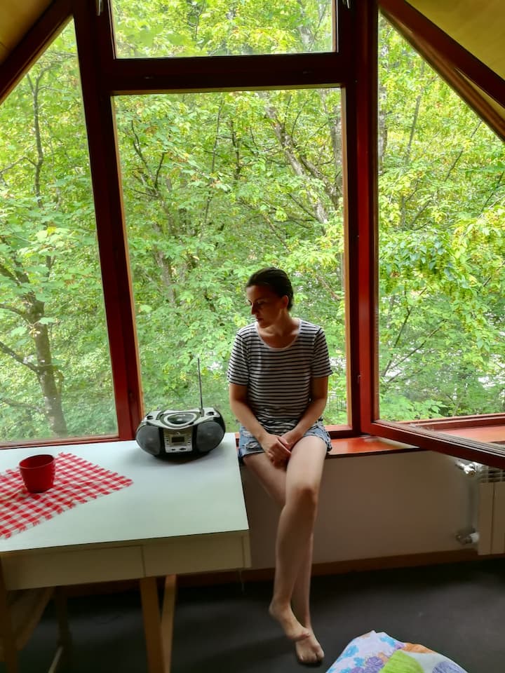 ტყის შესანიშნავი ხედები