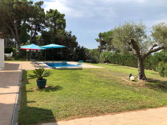 Beautiful house with pool gallery image 3