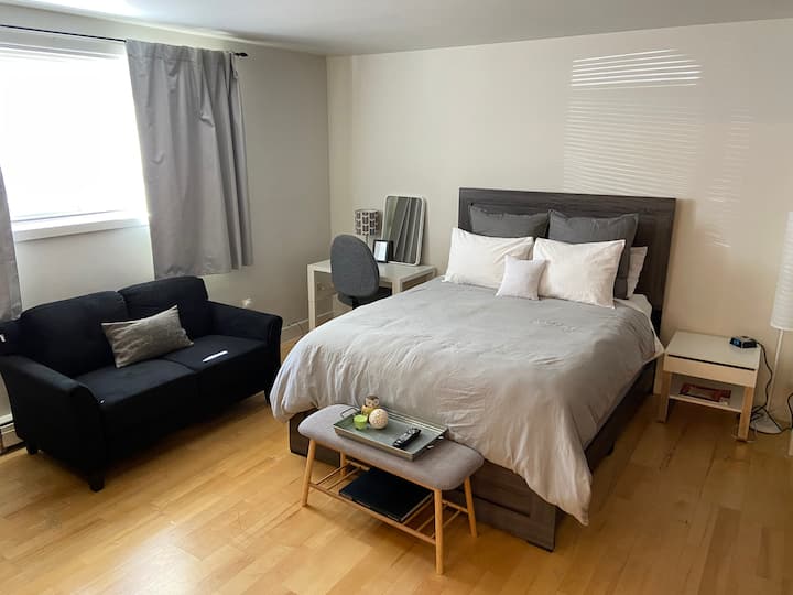 Restful Downtown Studio in Winnipeg Apartments for Rent in Winnipeg